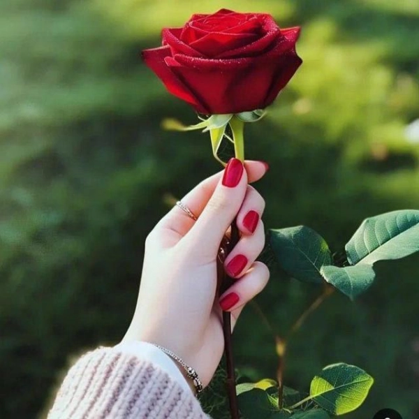 ساحل