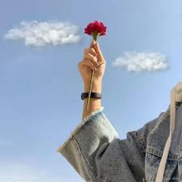 ماکی ماکی