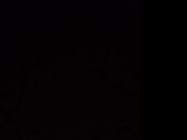 سناتورm