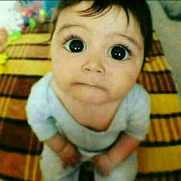 سنه دژ