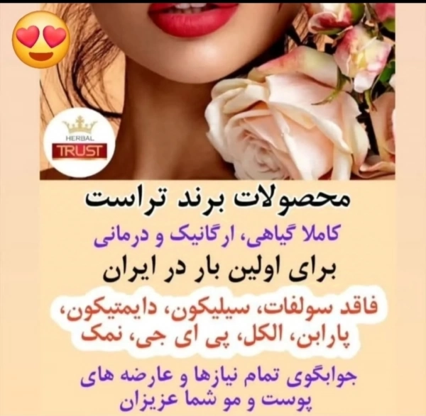 @yp210234