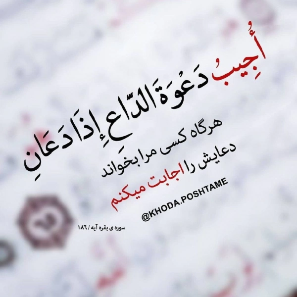 خدیجه 4619