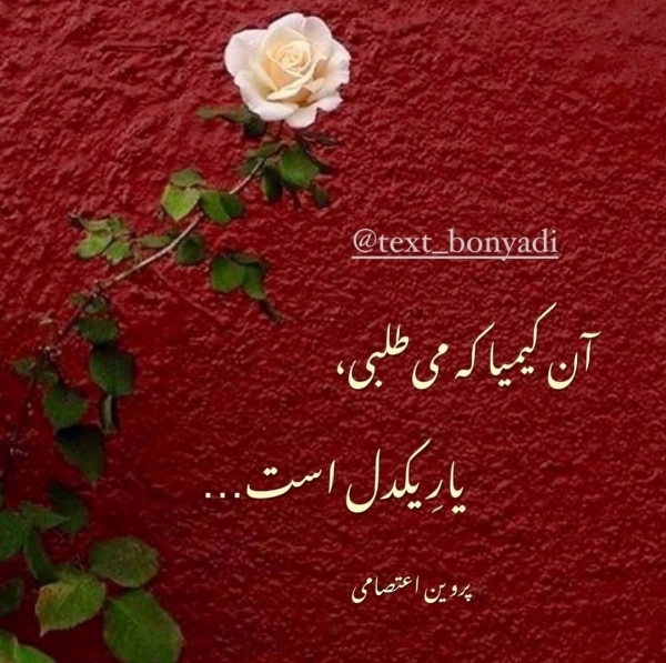 sogol