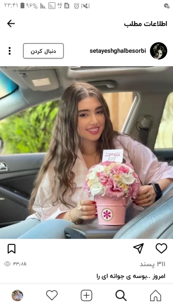 مینا