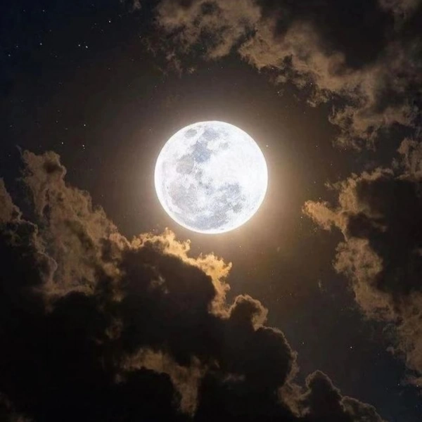 من میدرخشم