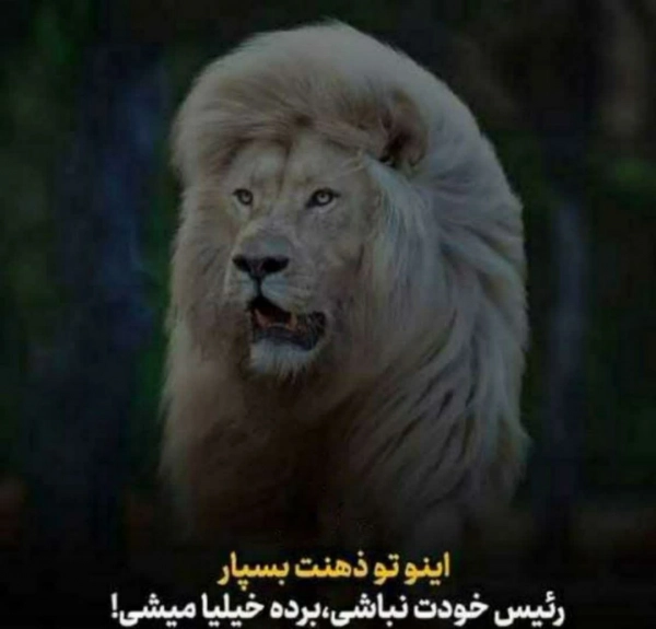 سیاره جون