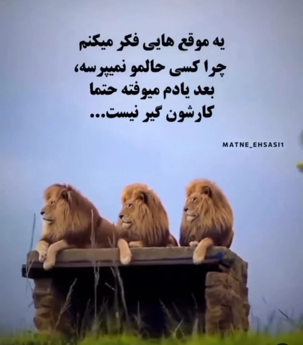 منظومه شمسی ،عطارد ،مریخ ،