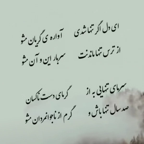 @yp220319