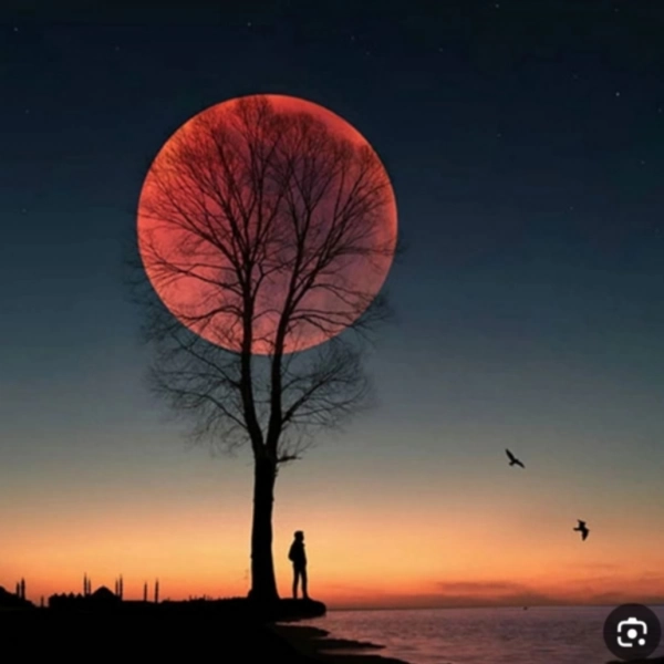 ♥آرش♥