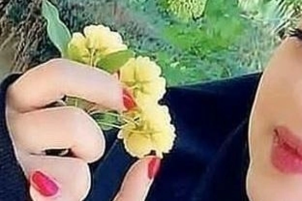 @yp223617