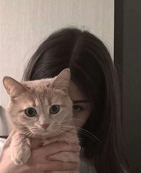 پیشی