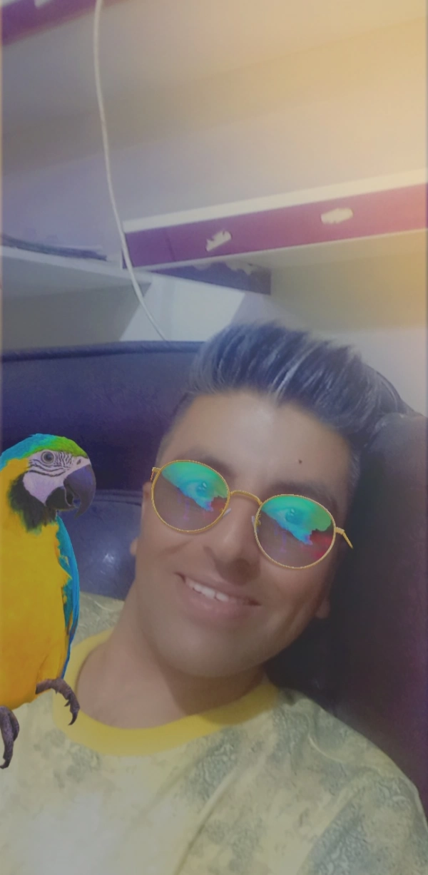 musi69