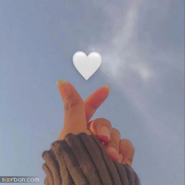 نرگس