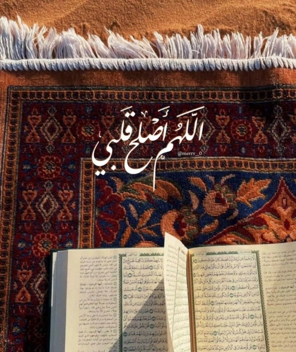 tamammm