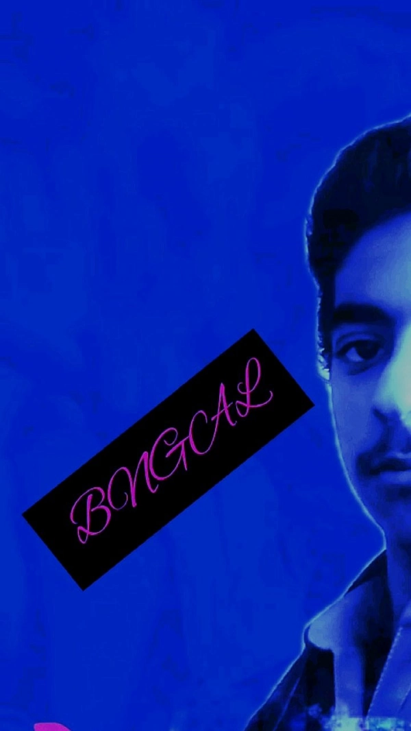 محمد بامری