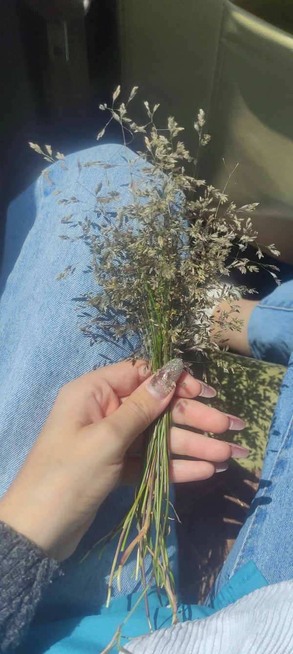 سیاره 5346