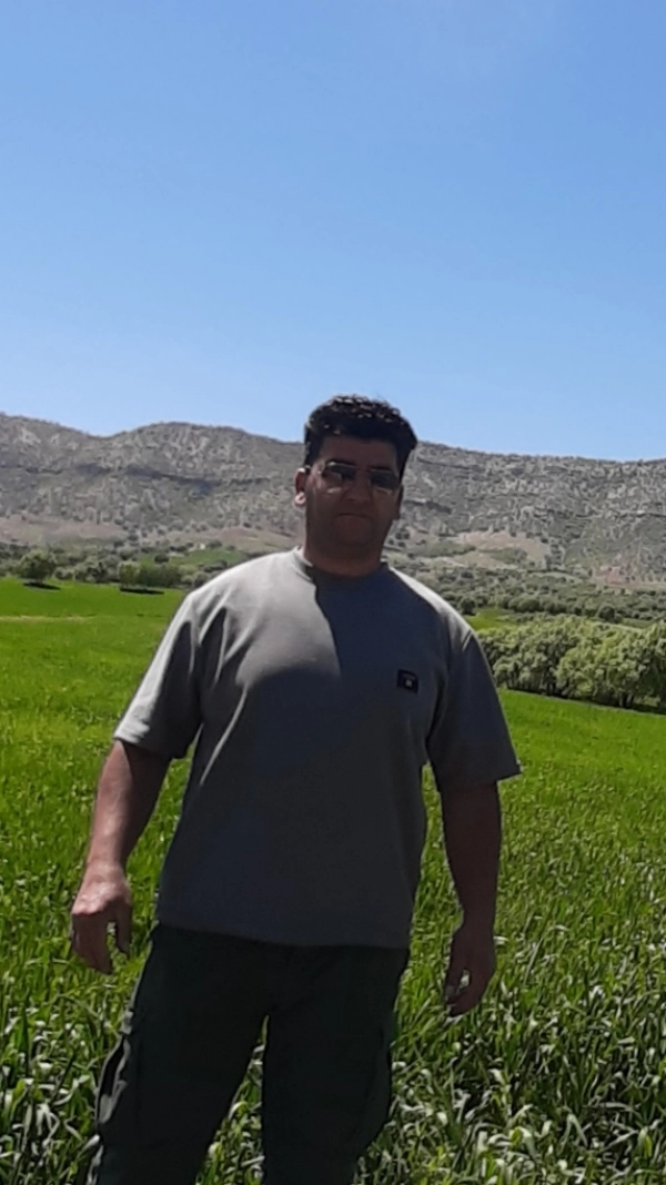 ساشا