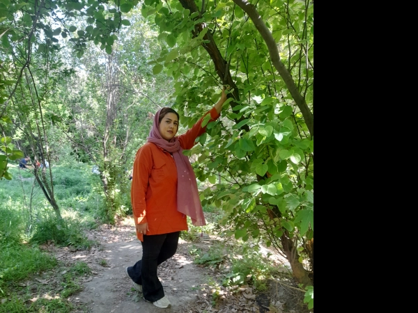 سیاره 6783