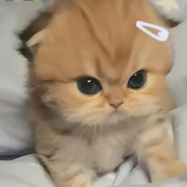 ♡앞으로♡