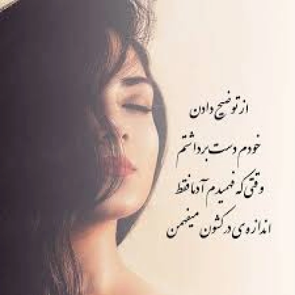@yp236619