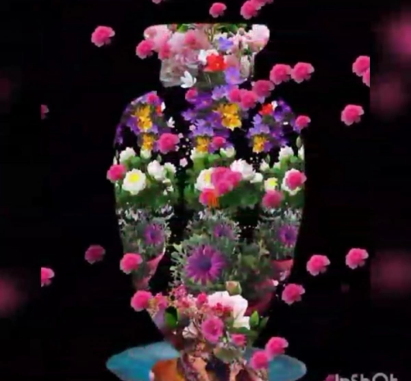 دنی جون