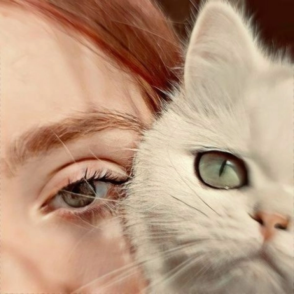 fifi