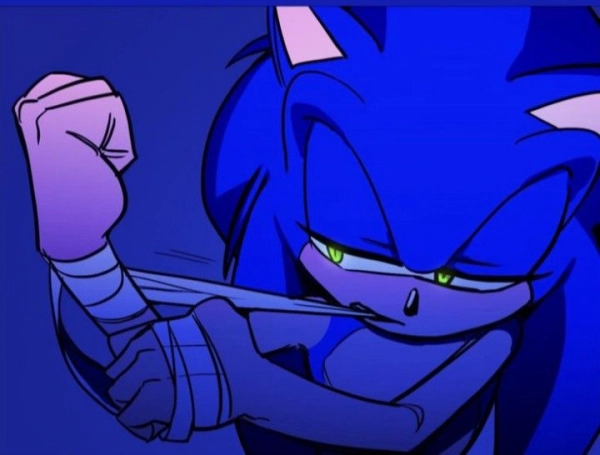 SonicᵗʰᵉHedgehogᶠᵁᴺ