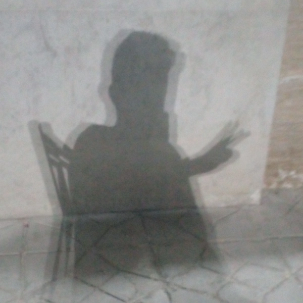 hamed.33