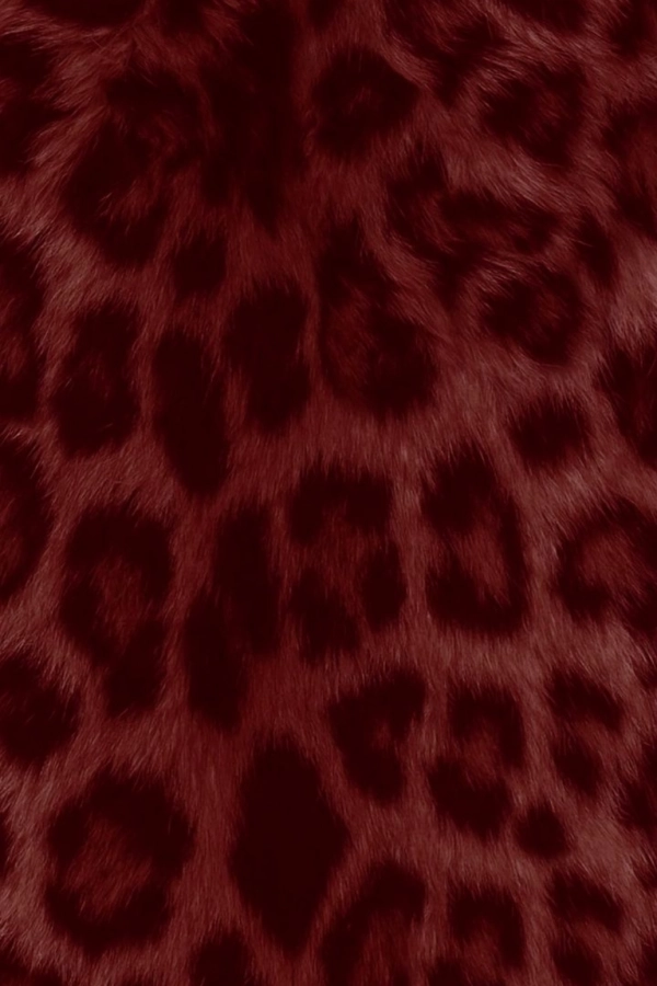 سیاره 7697