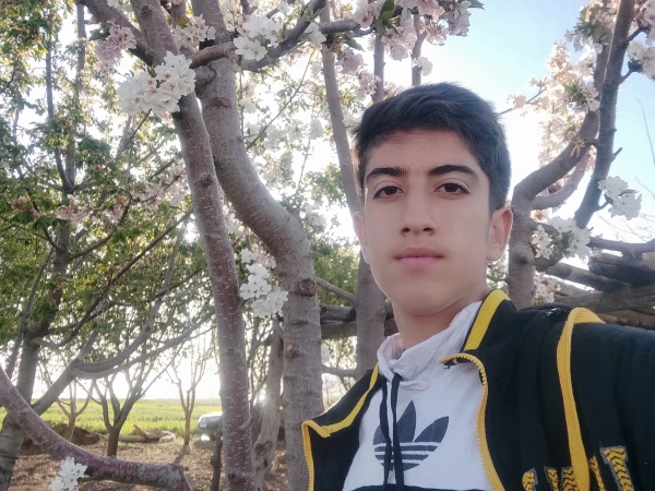 ali