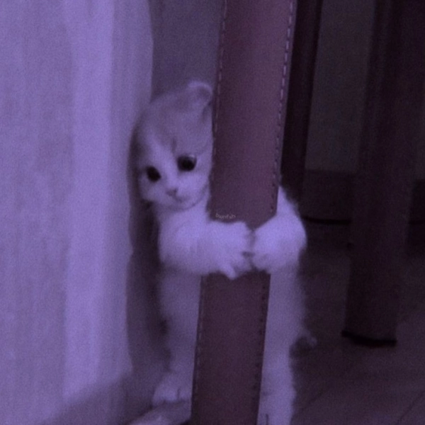 Silent...