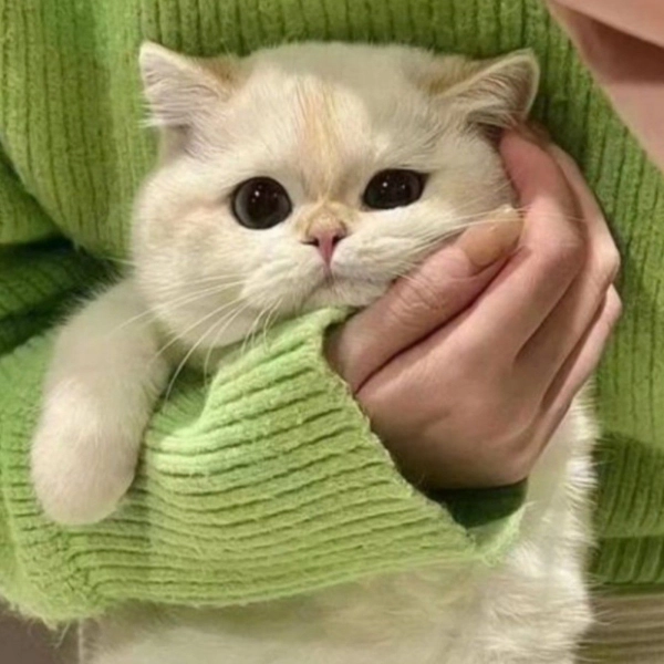 پسرک تنها