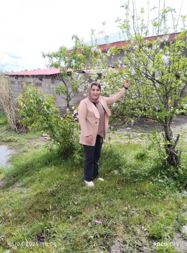 سیاره 6358