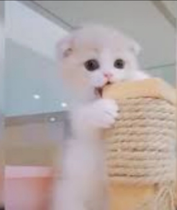 @yp249019