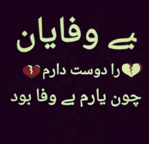 @yp249733