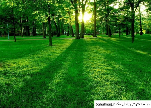 محمد