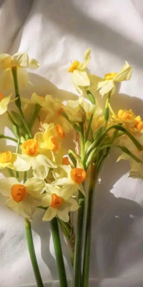 سیاره 2893