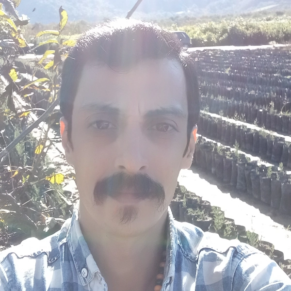 سیاره 8762kian