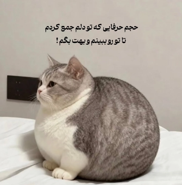 غلام حسین عینکی