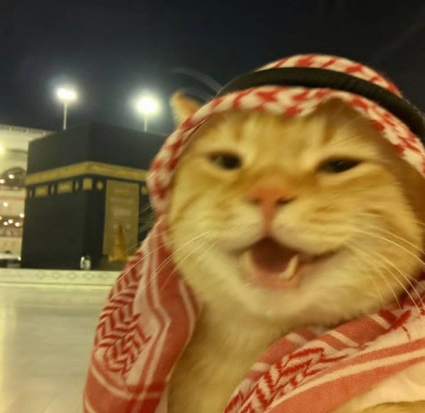 AmirReza