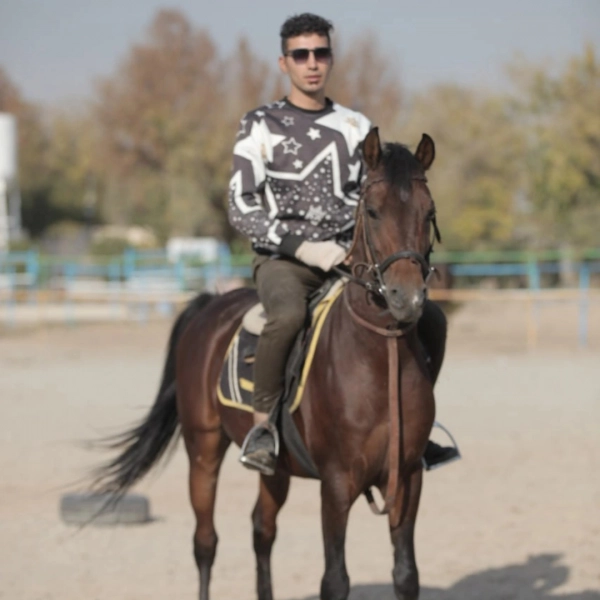 امیر