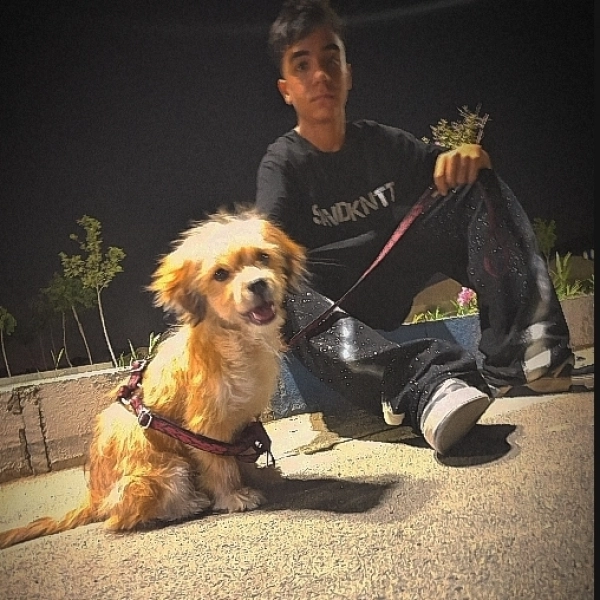amir