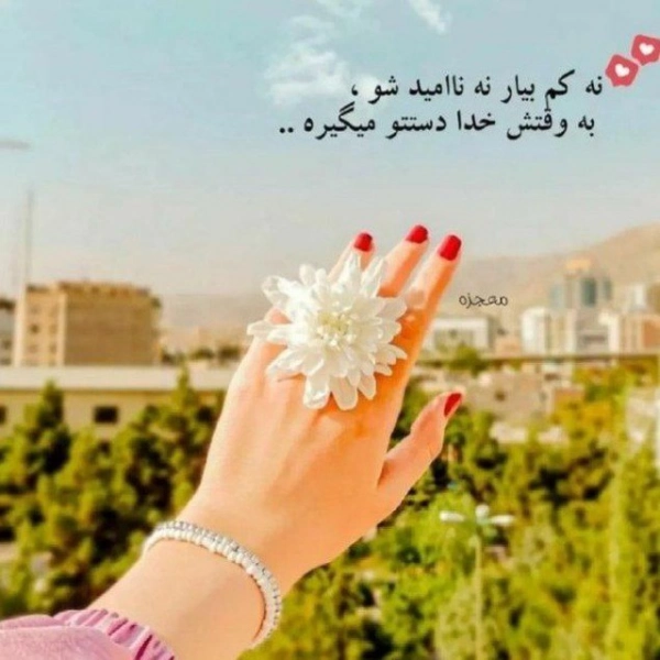 مائده