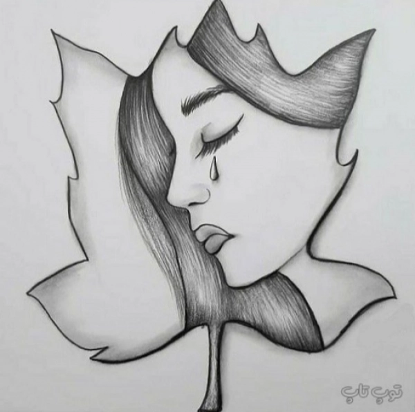 پروانه