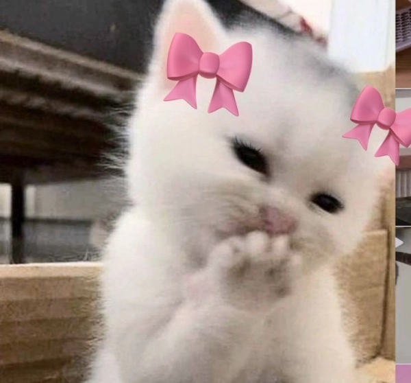 pishi