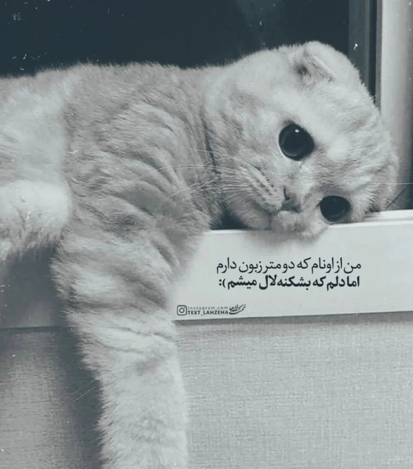 ♡نفس♡