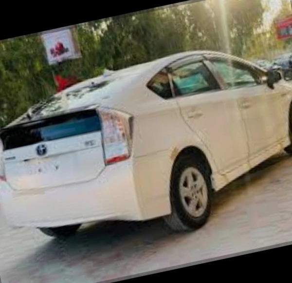 امیر تیموری