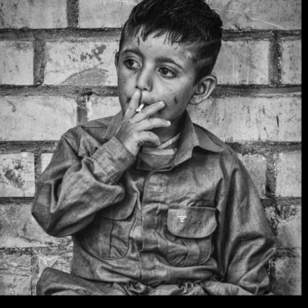 تنہا وحشی