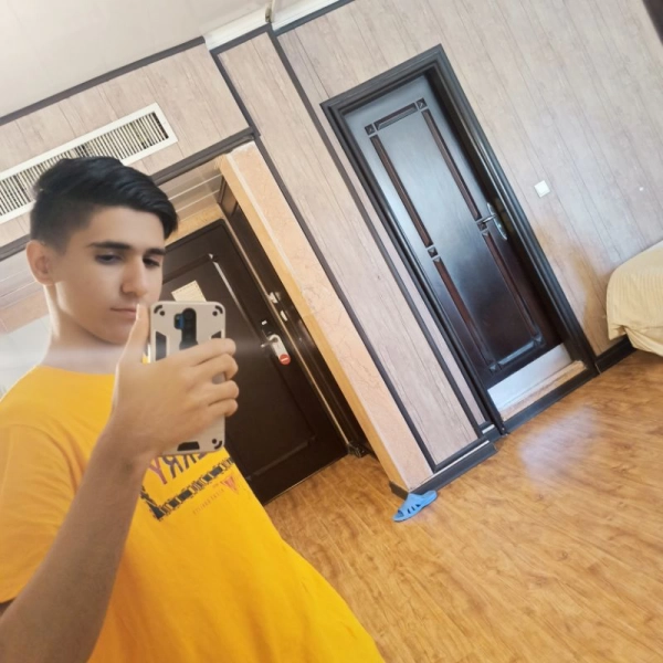 amir