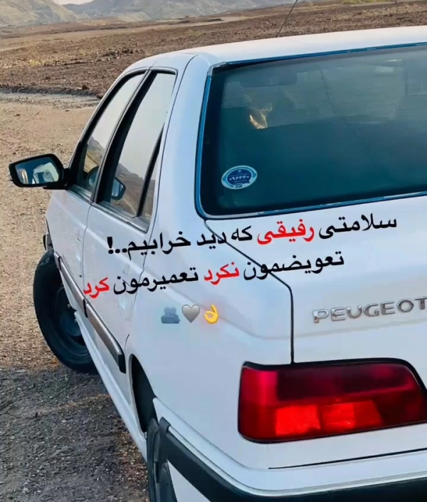 @yp264973